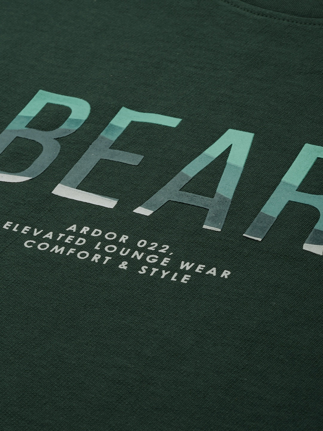 Bears - Image 2