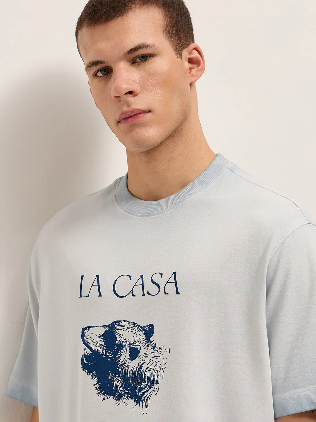 CASA - Image 5