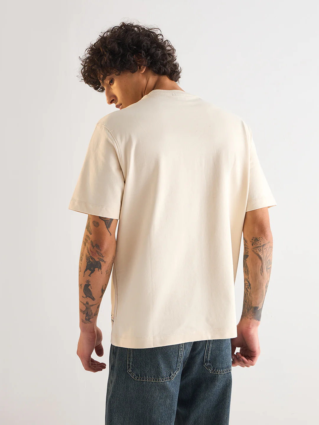 COLL - Image 2
