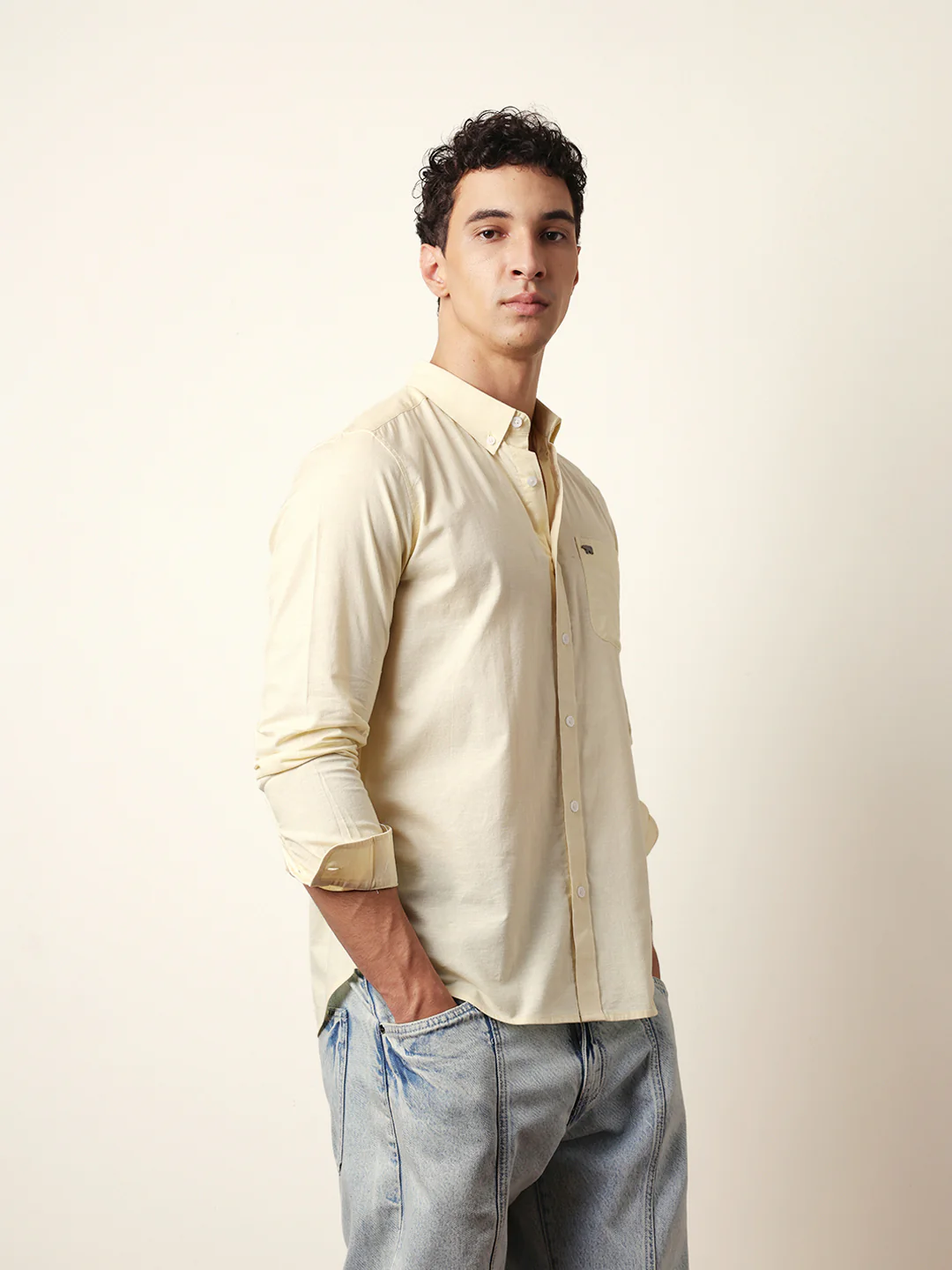 ROIS-YL - Image 5
