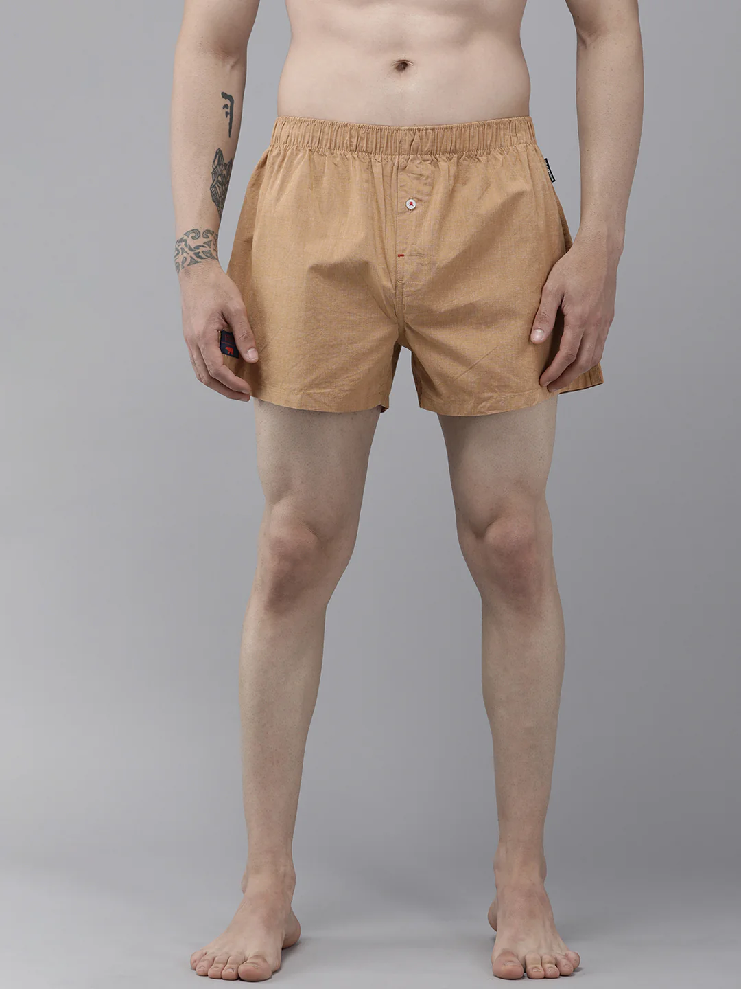Tique - Image 2